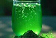 Hawaiian spirulina: Regional Cultivation and Difference